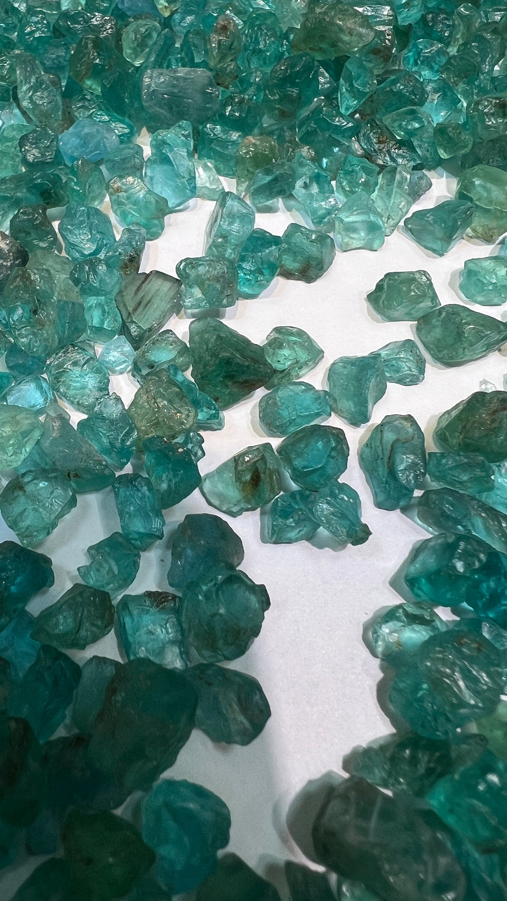Natural Blueish Green Apatite Crystals 20 pieces set